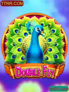 DoubleFly: O Novo Fenômeno dos Jogos no TTRR.COM